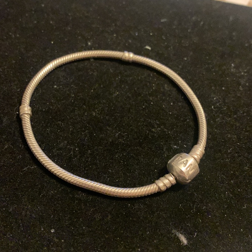 Pandora charm bracelet